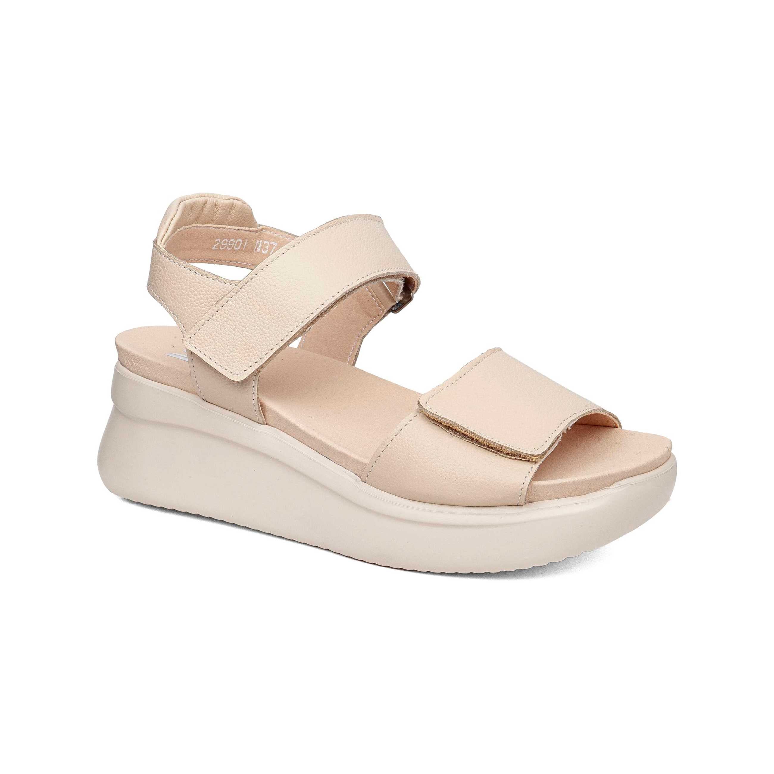 29901 | FLOTY 1.2-1.4 / MARFIL | LLANA - Image 2