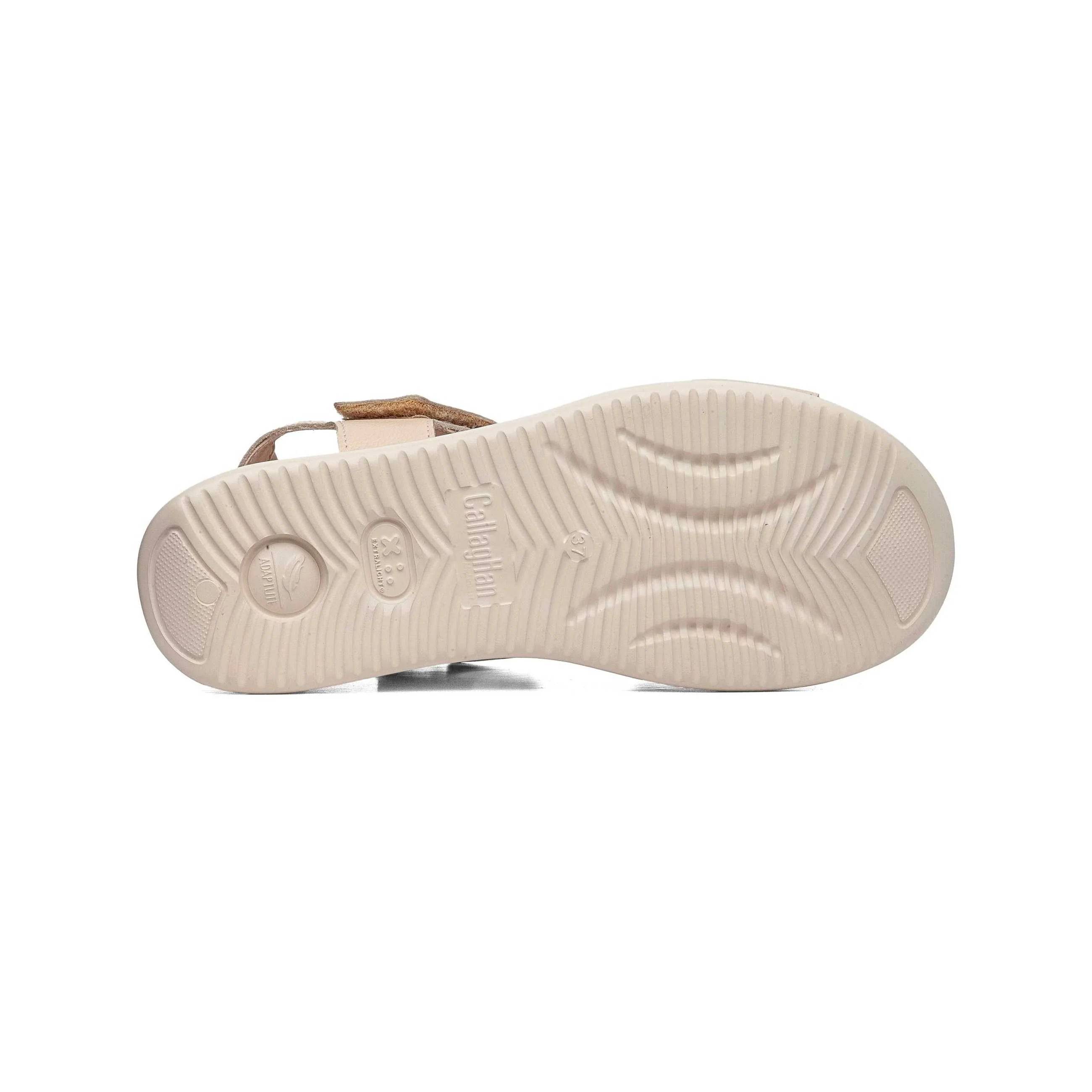 29901 | FLOTY 1.2-1.4 / MARFIL | LLANA - Image 4